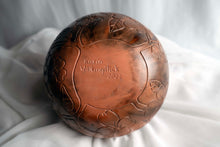 Load image into Gallery viewer, Earthy Dogwoods by Karin Walkingstick (Cherokee Citizen)
