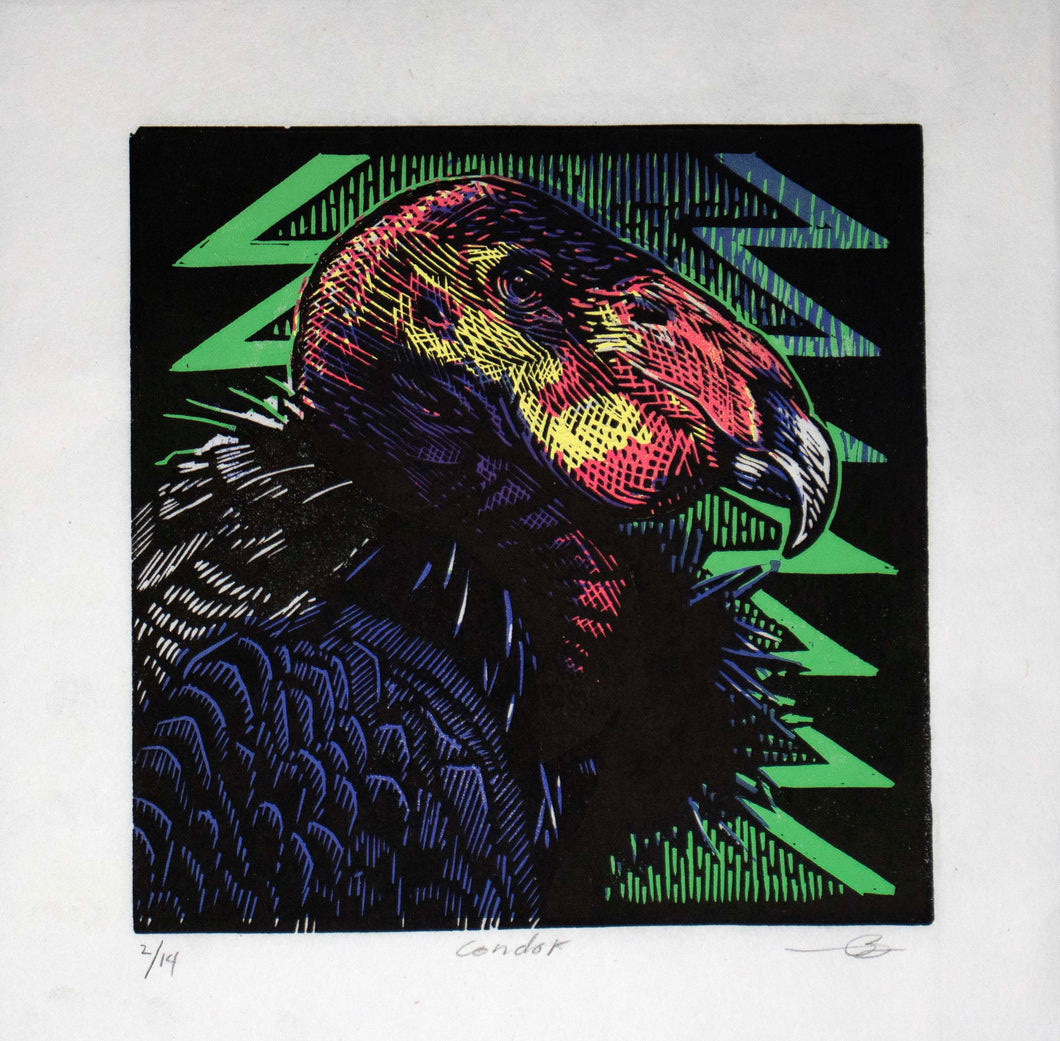 Condor by Marwin Begaye (Navajo)