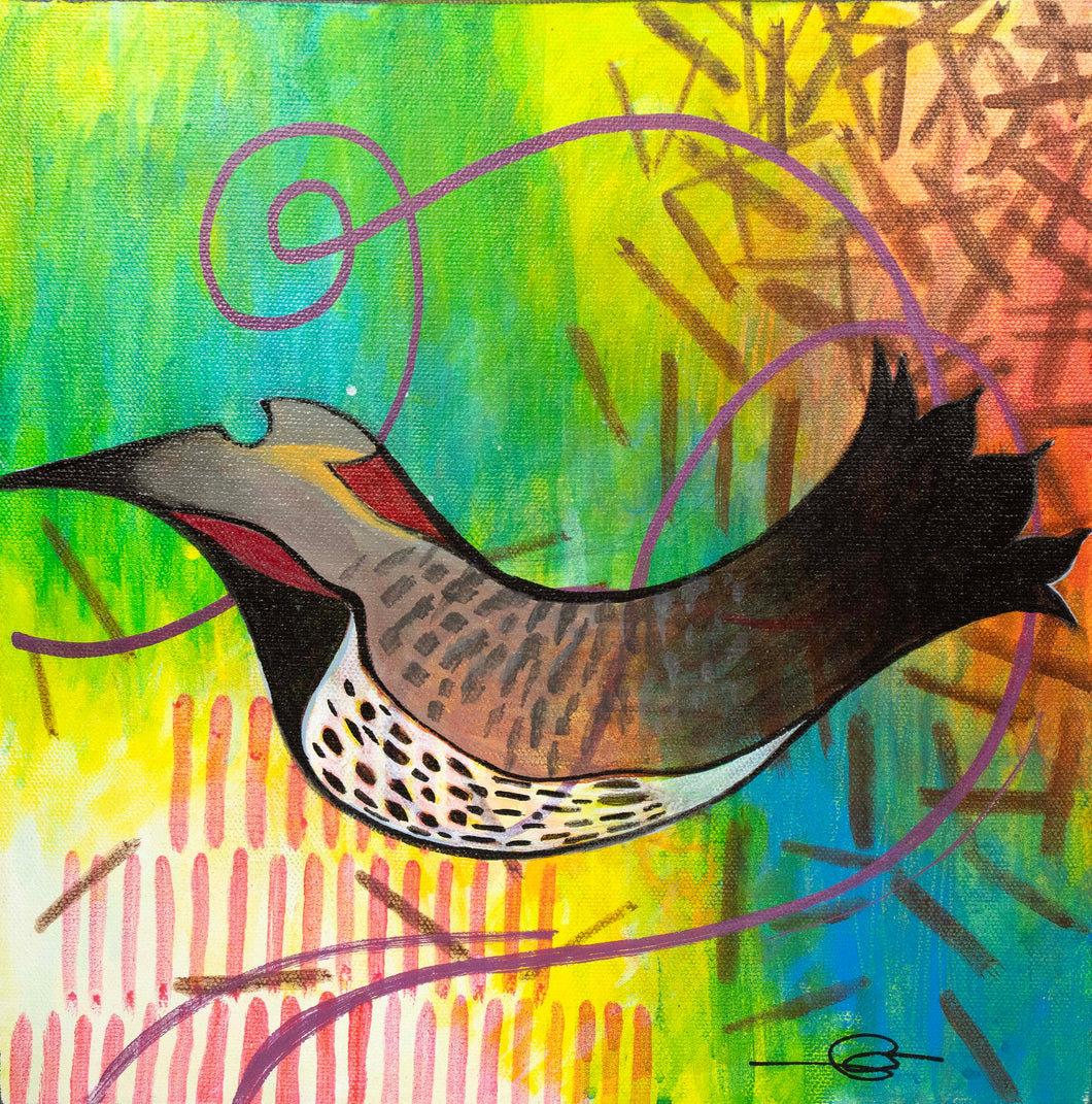 Flicker by Marwin Begaye (Navajo)