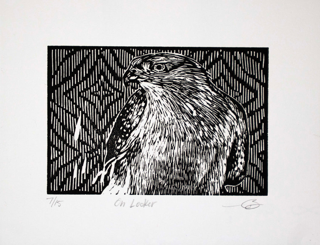 On Looker by Marwin Begaye (Navajo)