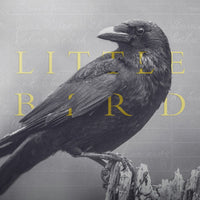 Little Bird by Mary Ruth Barnes (Hardback)