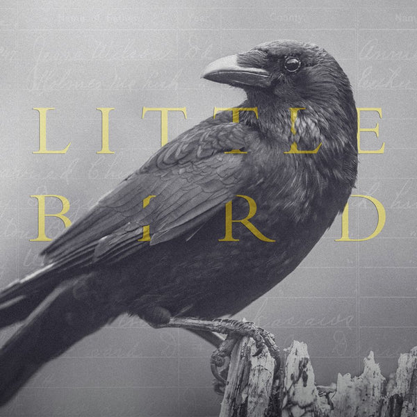 Little Bird by Mary Ruth Barnes (Softback)